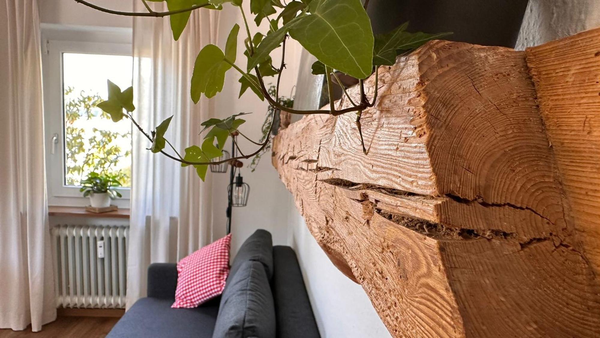 Apartment Schwarzwaldraum Schlossblick