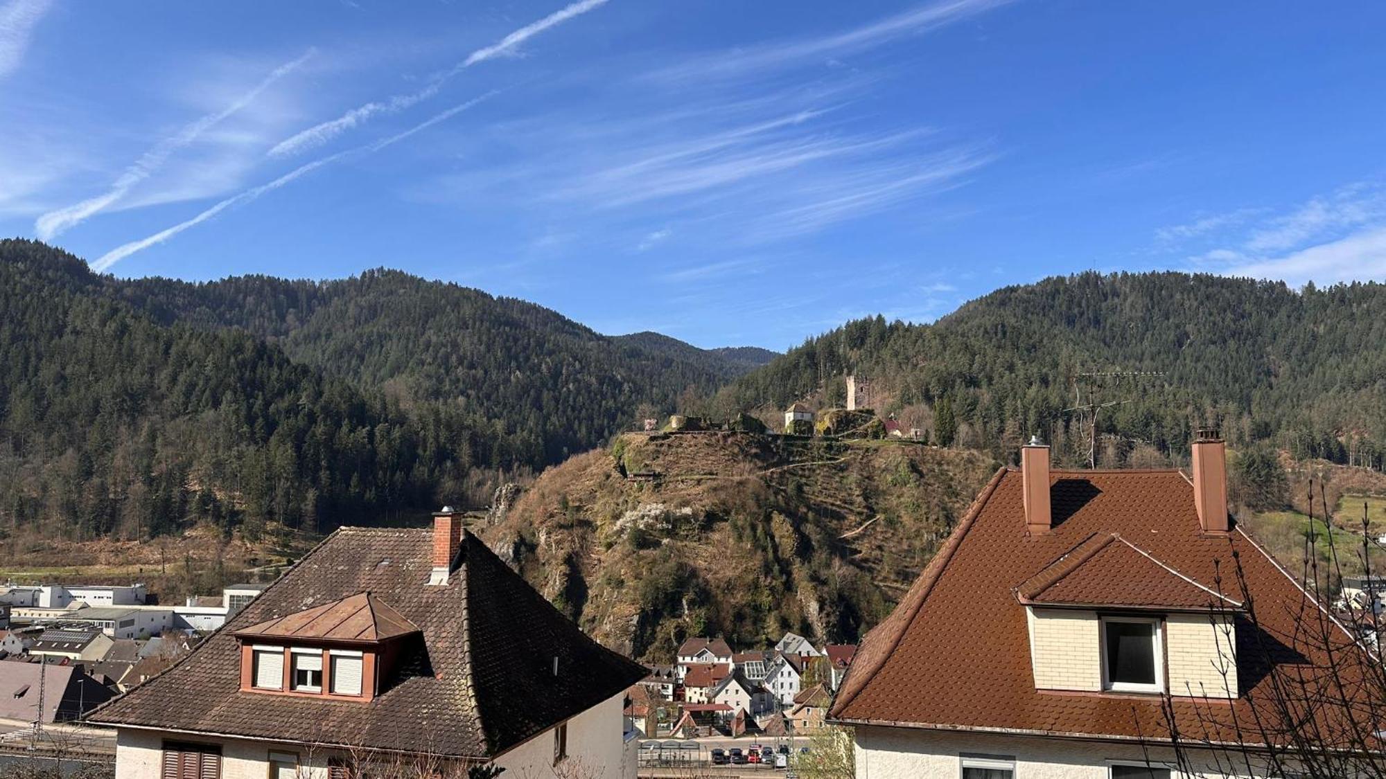 Apartment Schwarzwaldraum Schlossblick Hornberg