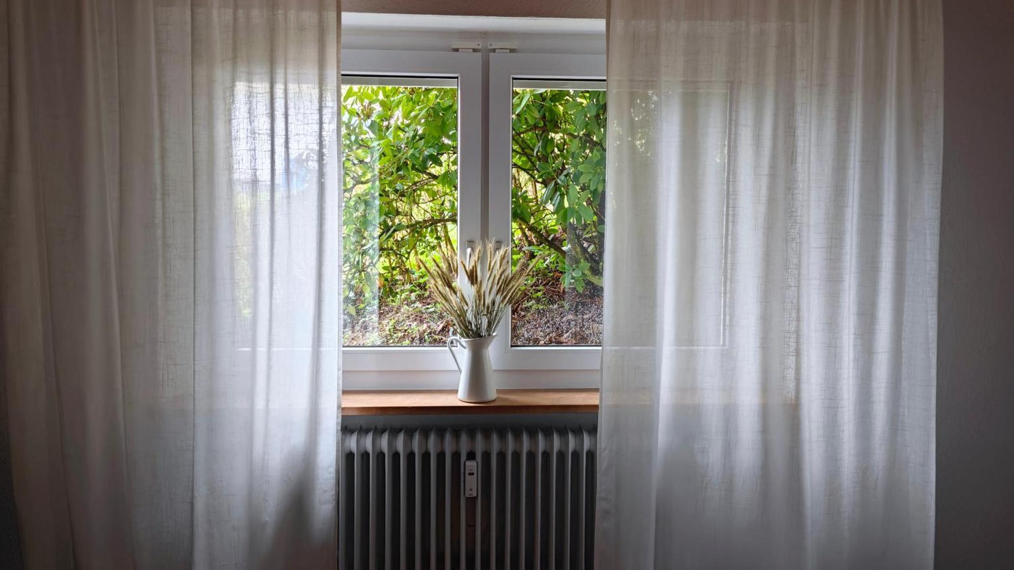Schwarzwaldraum Schlossblick