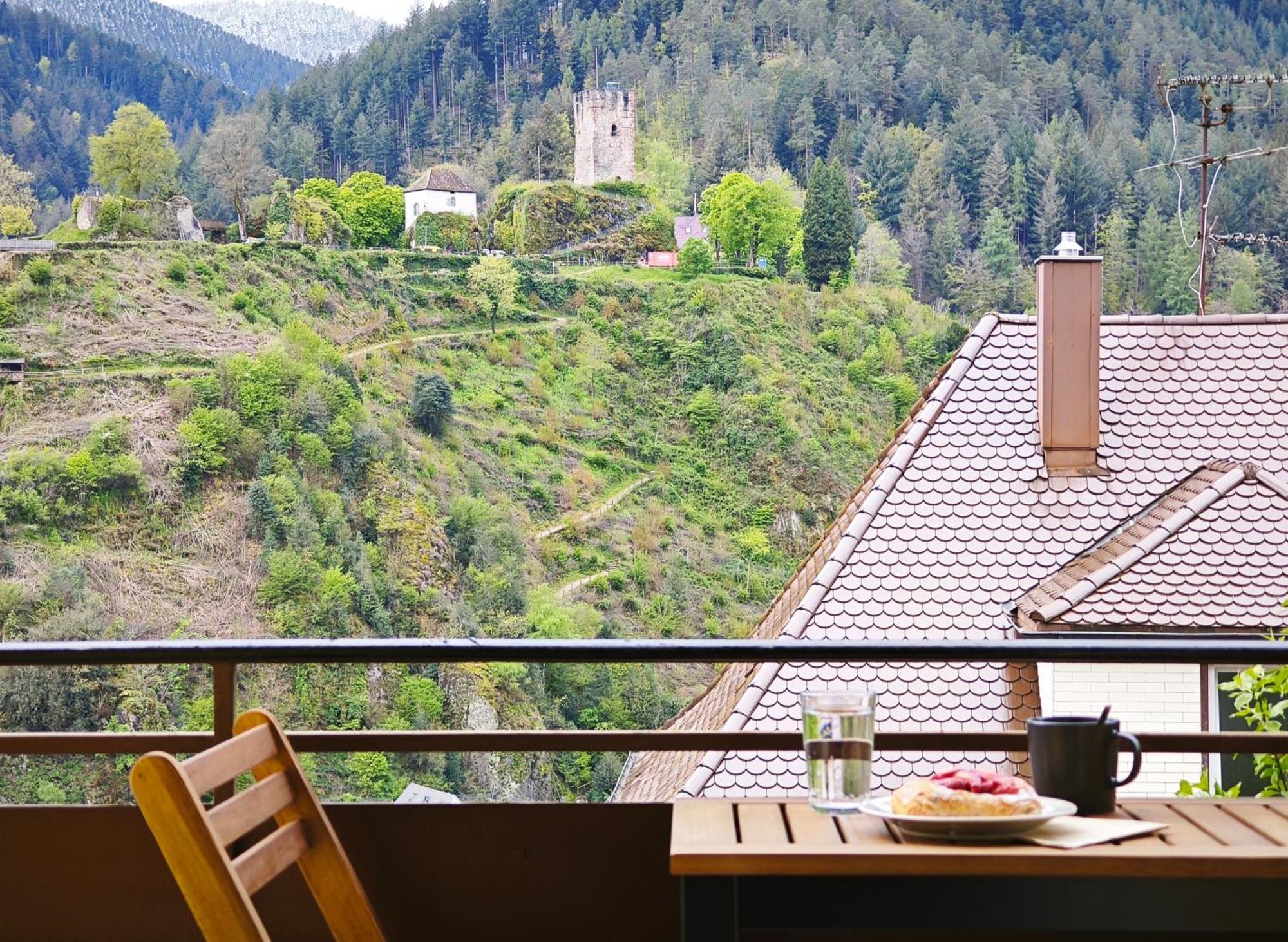 Schwarzwaldraum Schlossblick * Hornberg