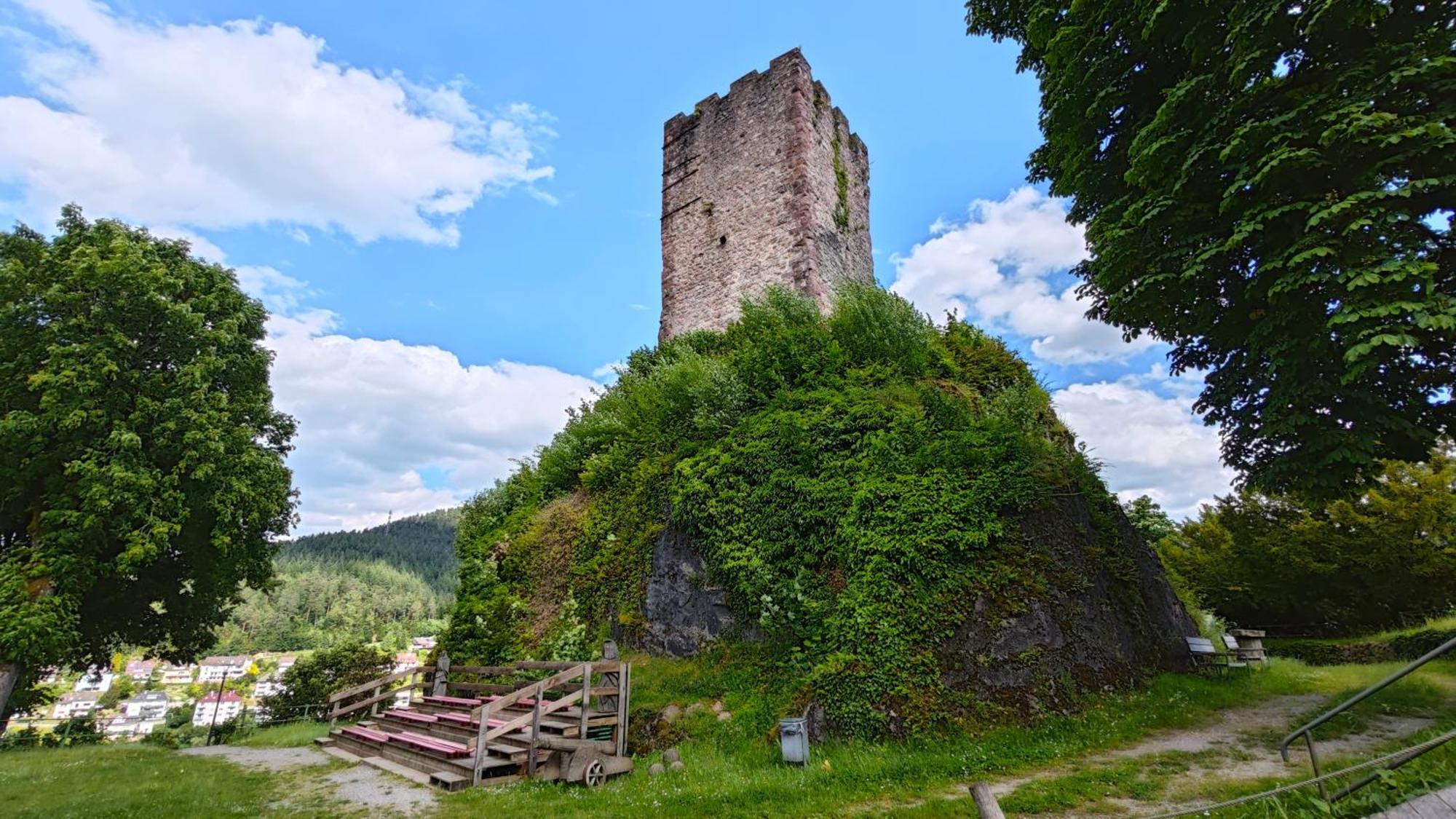 Schwarzwaldraum Schlossblick Apartment Hornberg