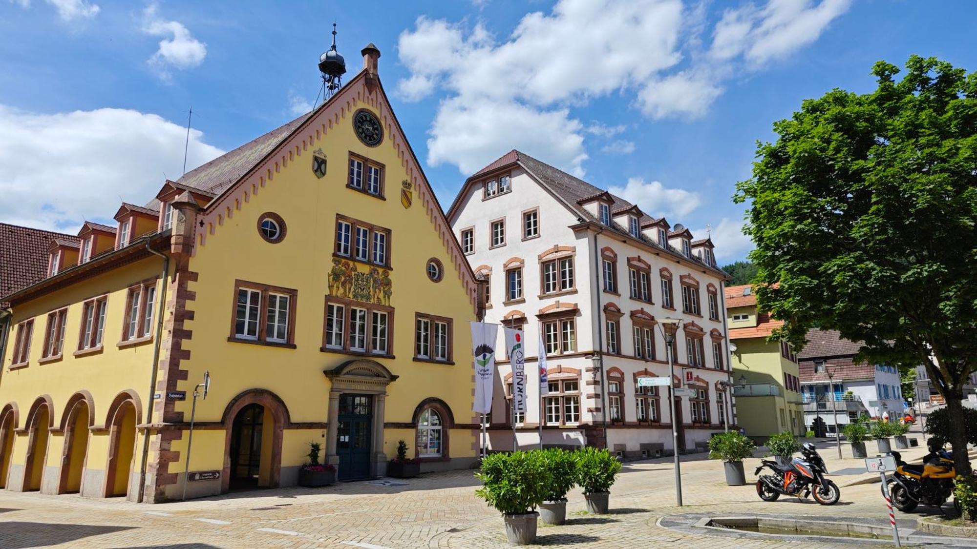 Schwarzwaldraum Schlossblick *